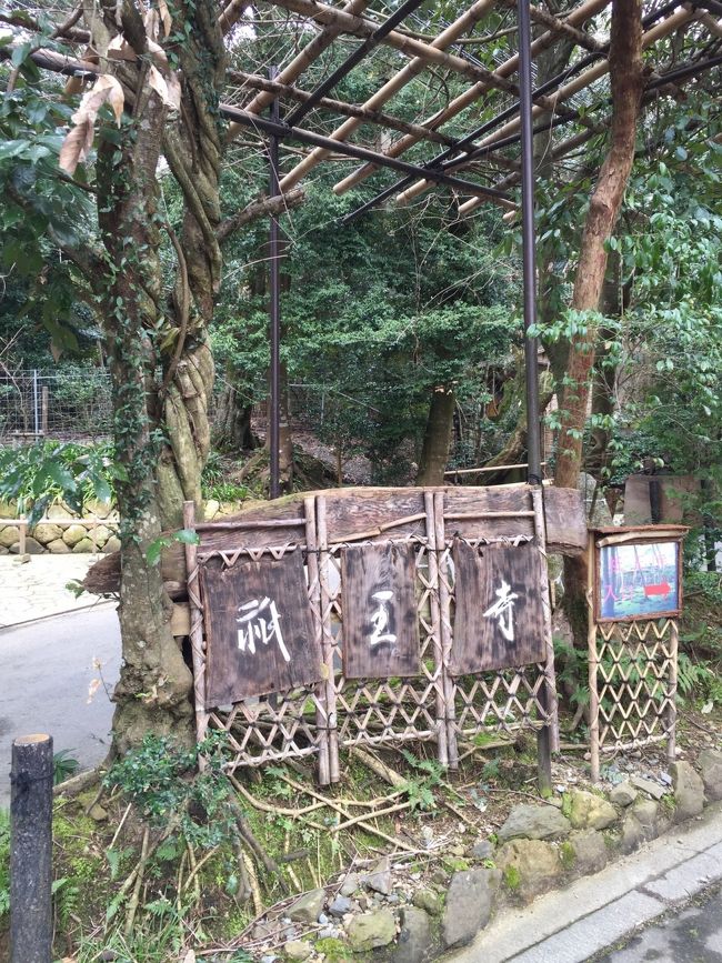 気持ちよくサイクリングしながら私も初めての祇王寺へ。<br /><br />