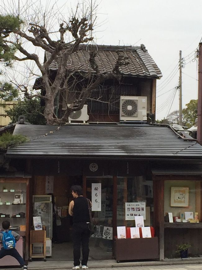 三十三間堂をでてすぐにある《七条甘春堂》へ。<br />こちらの和菓子さんと、先ほどの甘春堂、よく似ている。<br />横浜でいうならキタムラとキタムラ２のような関係なのかしら？と勝手に想像。<br />本当のところはもちろん知りませんが。