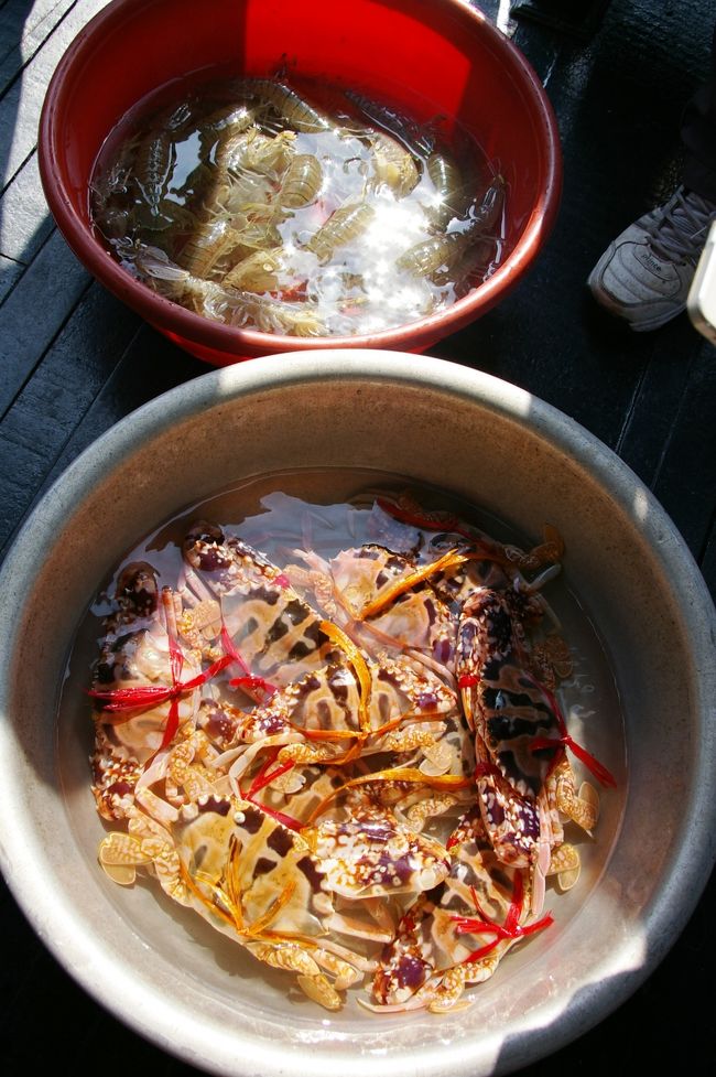 船のスタッフは、蟹とシャコを買いました。こちらを料理してくれます。