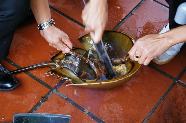 なんとカブトガニ。初めて見ましたが、こちらも料理してくれます。