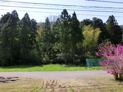 ☆古墳その7
下船塚古墳と道路を挟んで、すぐ南側にある上船塚古墳。
私には雑木林にしか見えなかった。( ・3・) 

至近距離に並んであるから、もしかしたら夫婦の古墳かな？