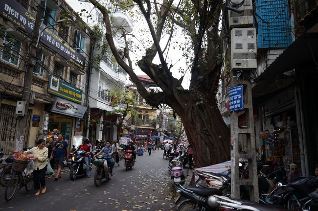 少し休憩したので、早速街歩きに出発しました。<br />ホテル前の通り。