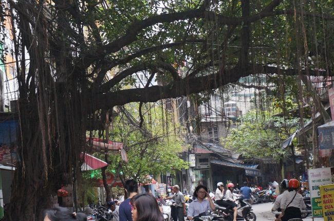 エネルギー補給終了、ぶらり旅再開。