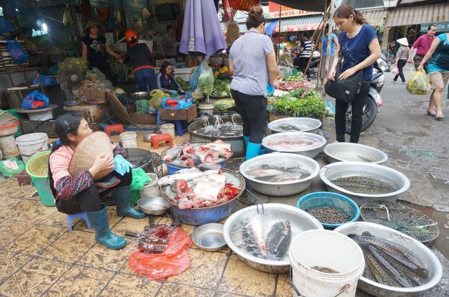 ここは魚屋さん。