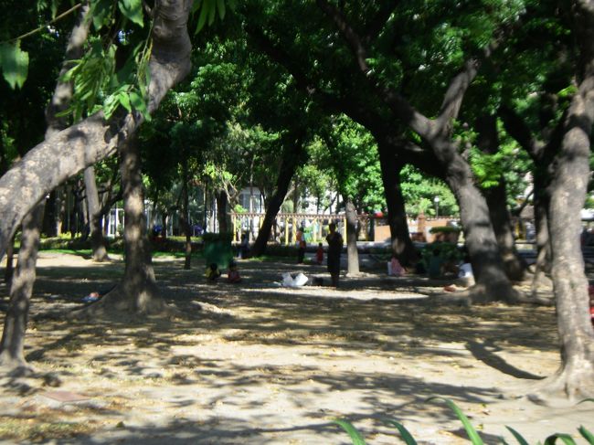 芝生の横には茂みになっている場所も、暑さにまだ慣れていない身にはキツイ日差しを遮る場所でないと日中は大変です。たぶん現地の人も。