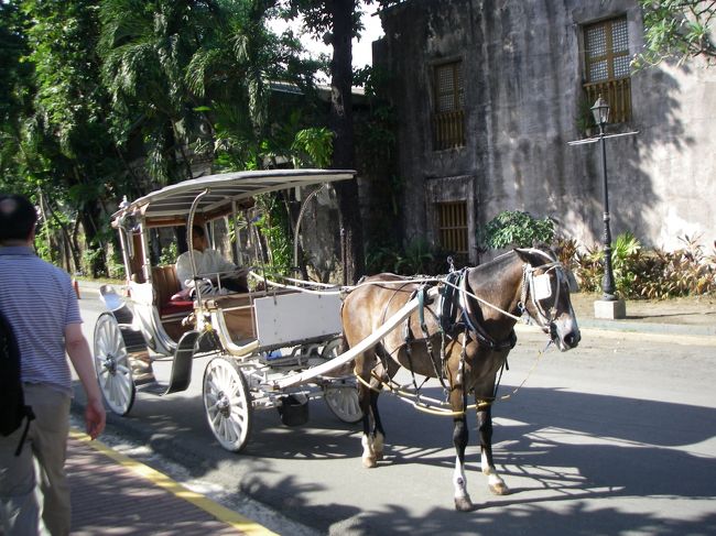 馬車が客待ちしています。観光地らしき雰囲気です。