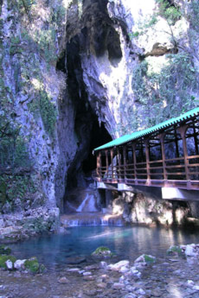 鍾乳洞の入り口です。<br />出口はエレベーターで秋吉台に出ました。