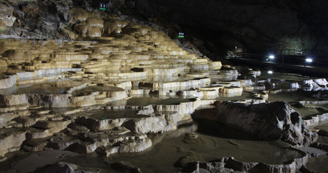 大自然の不思議な世界です。