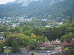 おはようございます♪
ホテルのテラスからの眺めです。
眼下に見える桜並木は蹴上ｲﾝｸﾗｲﾝ
その奥の三門が南禅寺です。
