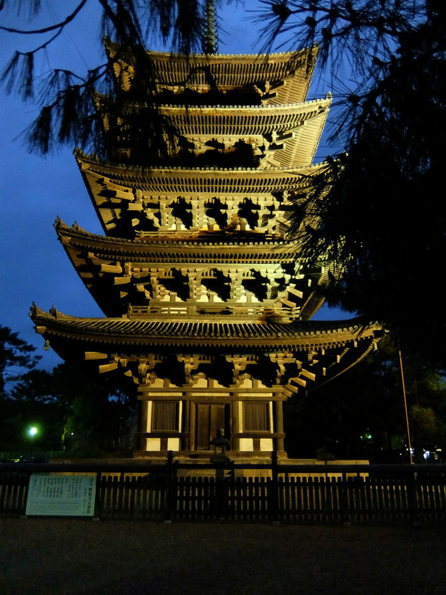 ライトアップされて<br /><br />　　興福寺　五重塔