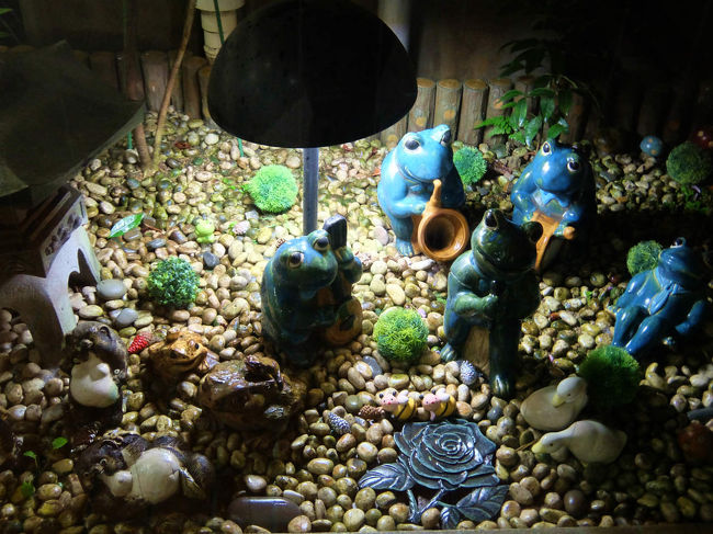 今夜は<br /><br />　ペンション　古っ都１００％さんです。