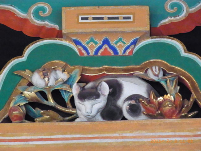 色も鮮やかです