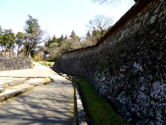 (祝・人吉球磨 日本遺産に認定)2015早春の九州路 人吉城址の桜と、昭和の香り漂う博物館?
