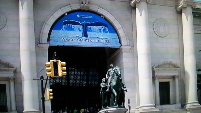 確かタクシーで行きました<br /><br />「アメリカ自然史博物館」