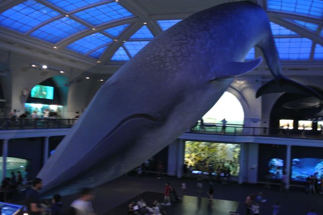 大規模の展示物<br /><br />迫力が　日本では味わえない感じ(^○^)