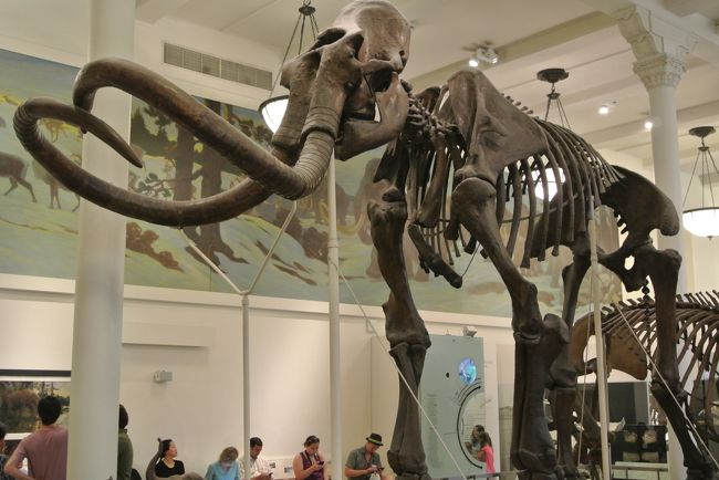 マンモスとか