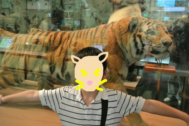 アメリカの動物とか<br /><br />空いた時間に　ギリギリ来たので　　ガイドさんを頼むとかなく<br />テキトーにぐるぐるしましたが<br />観てるだけでも　楽しめました♪