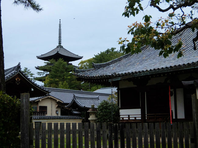 五重塔が見える<br /><br />　雨　降りそう　急がなくては