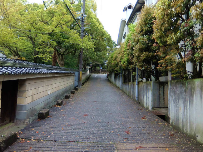 何時もの道が見えて、