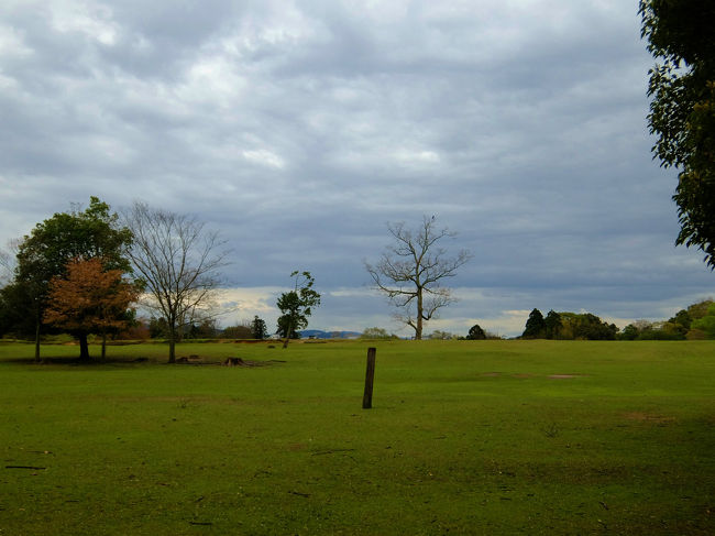 曇り空<br /><br />　　　不安