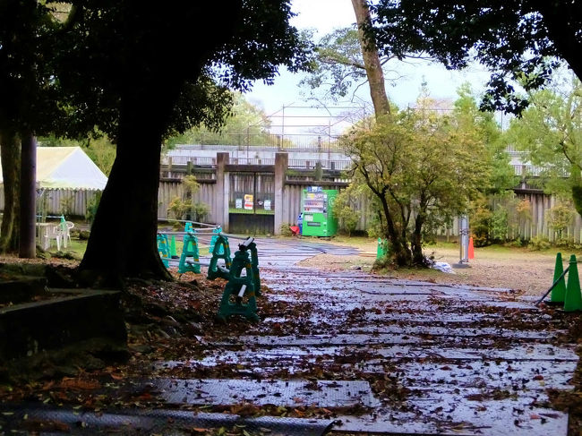 鹿苑<br /><br />　足元が危ない<br /><br />　　遠くから写すだけ。