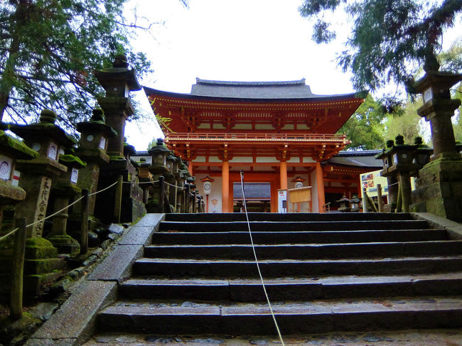 本殿が見えてきた。<br /><br />　早朝散歩の人も数人出会った春日大社の境内