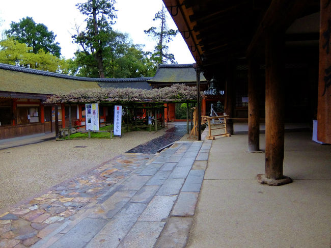 手を合わせ、、