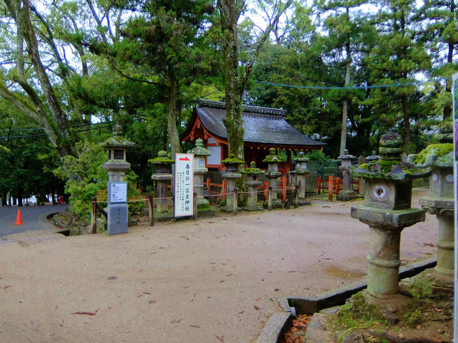 見えて来ました