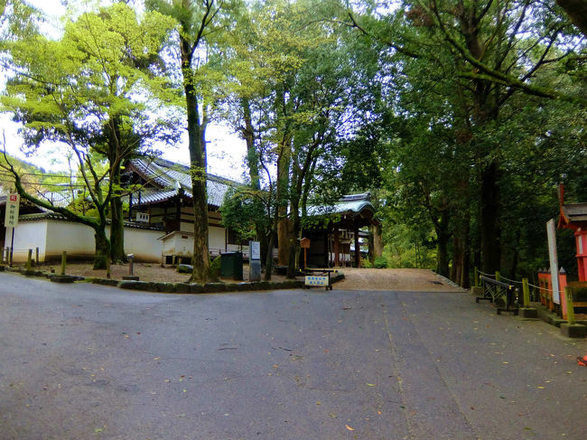 雨が　ポツリ　ポツリ