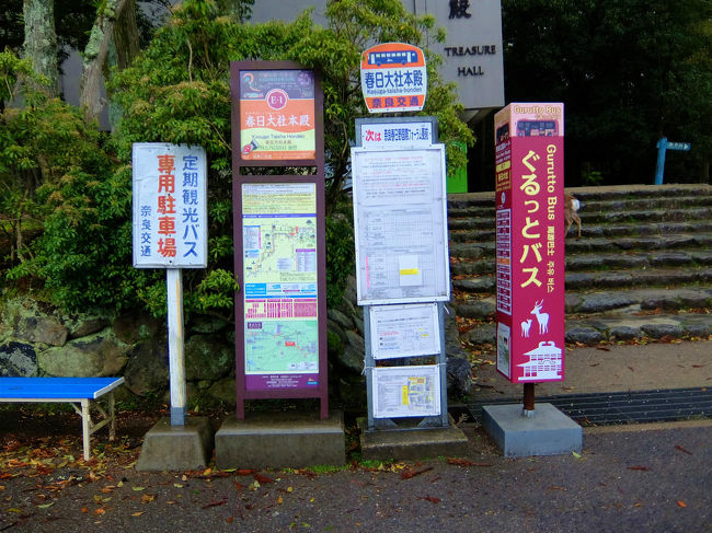 ここまで　バスで来られるの　知りませんでした<br /><br />　なんて　のんきの歩いて時では　無い<br /><br />　　雨は本降り。。