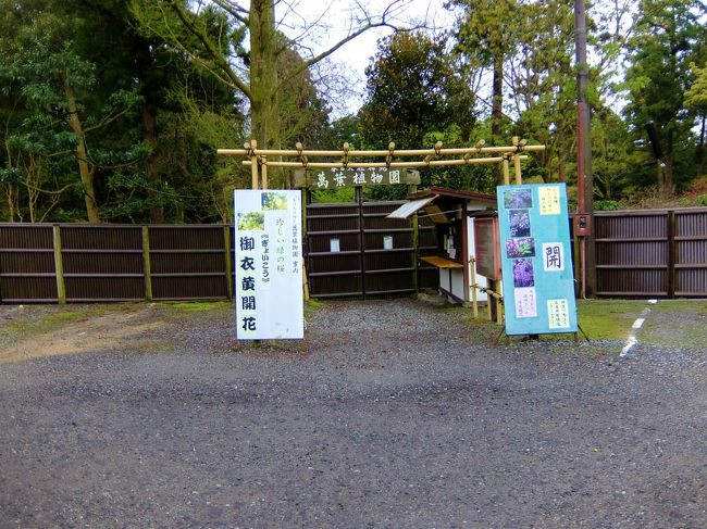 傘は無くても<br /><br />　ビニール合羽は着て来た。