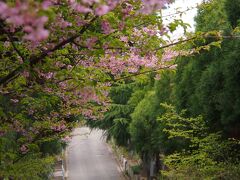 資福寺の参道。