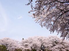 沼田公園