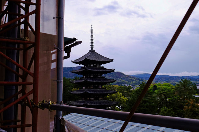 三階の張り出し展望台　　景色の見られる　場所もあります<br /><br />　覆いもなくて　五重塔さえ　このように<br /><br />　　