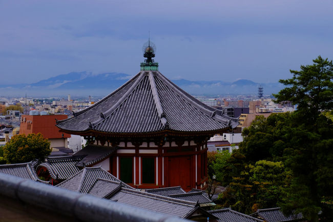 南円堂を見下ろす。