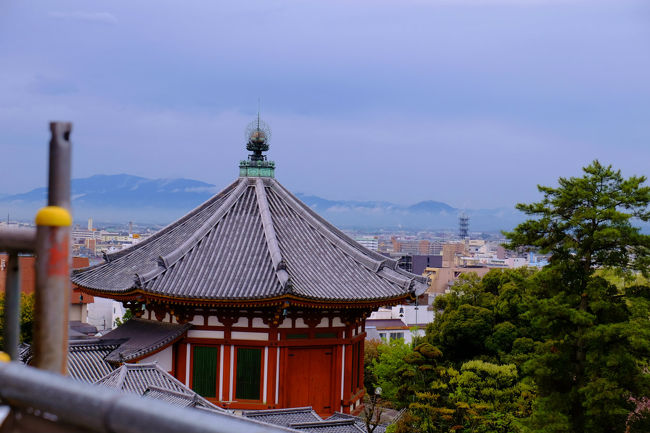 雨がやんだようです。
