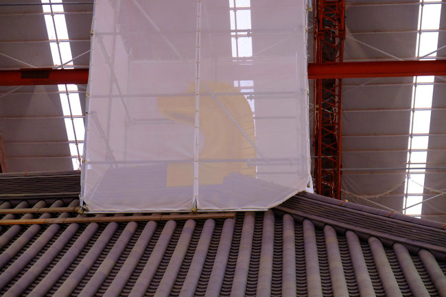 「しび」を　ズームいっぱいで写す<br /><br />　　内部が幾分透けて見えるでしょう。