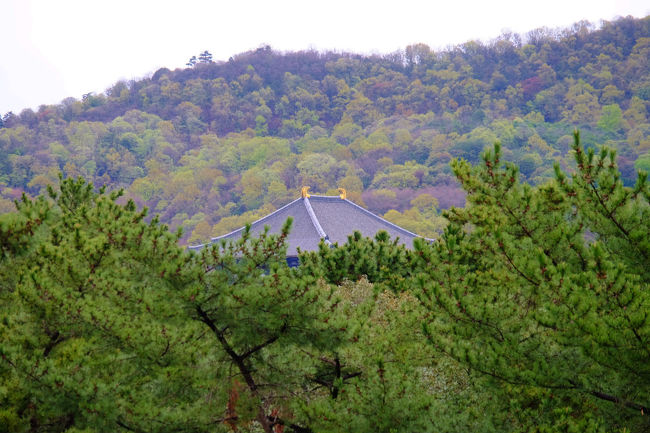 そこから見える<br /><br />　　　　東大寺　南大門<br />