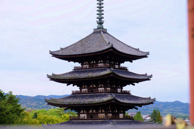 五重塔もより近くに