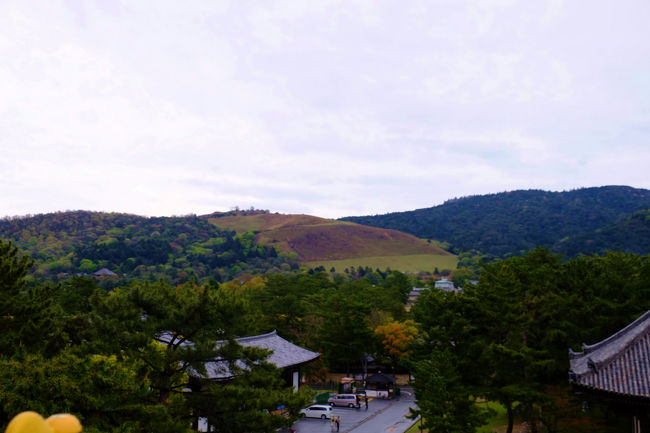 若草山　宝物館