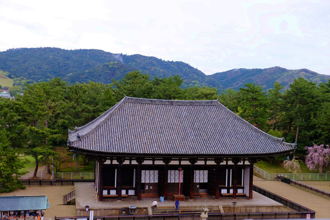 大きな東金堂も小さく見えて、、<br /><br />　後ほど伺います。