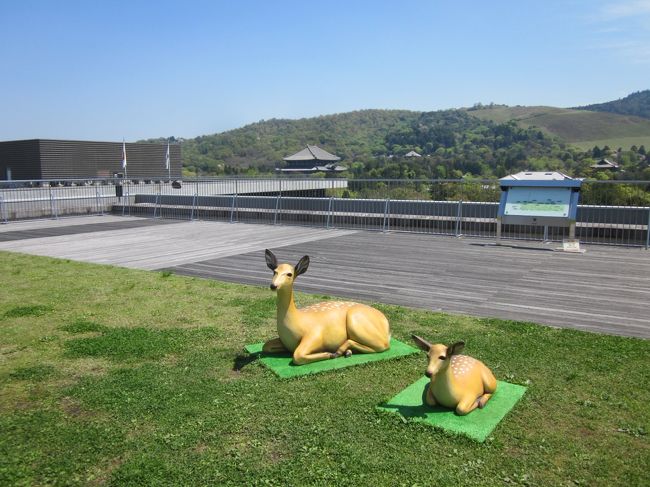 小さい子が走り回るのに充分な広さです。