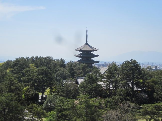 遠くまでよく見渡せます。