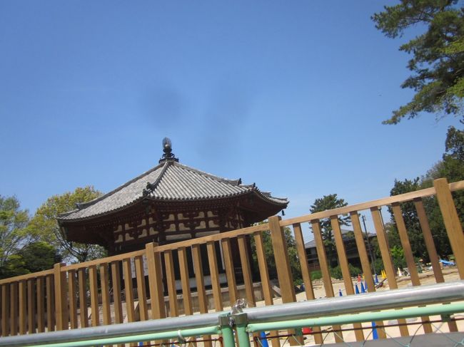 普段は塀越しにしか見えません