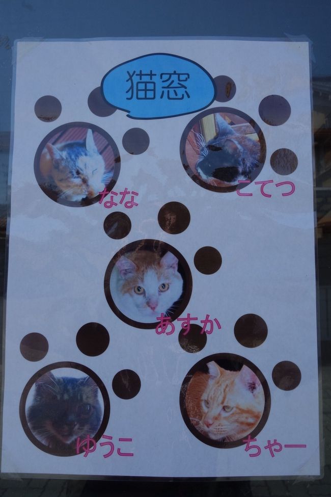 商店街に猫窓