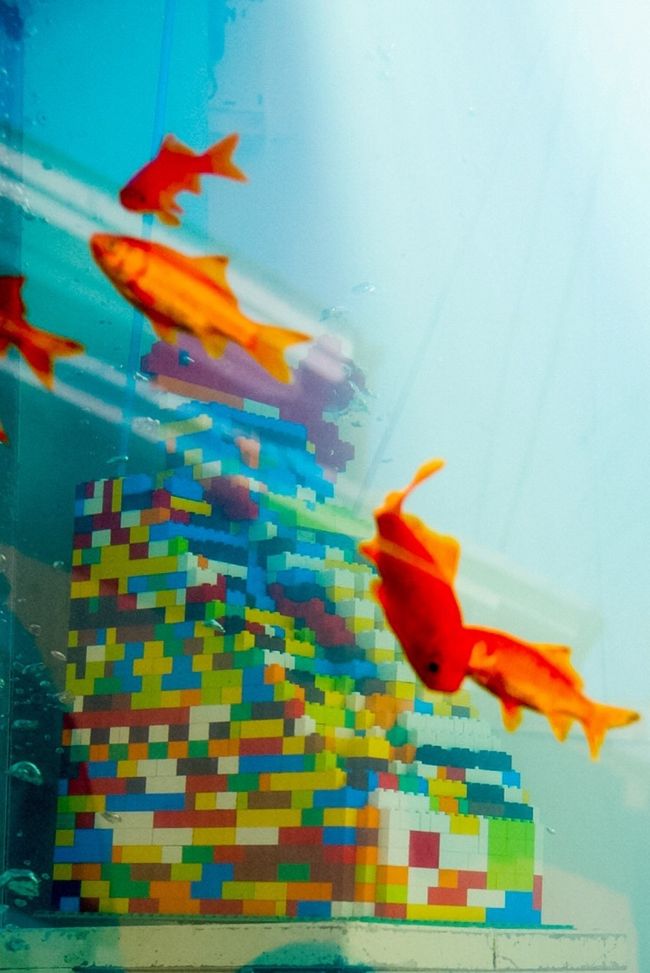 電話はレゴ？<br /><br />今日のお目当はこれ