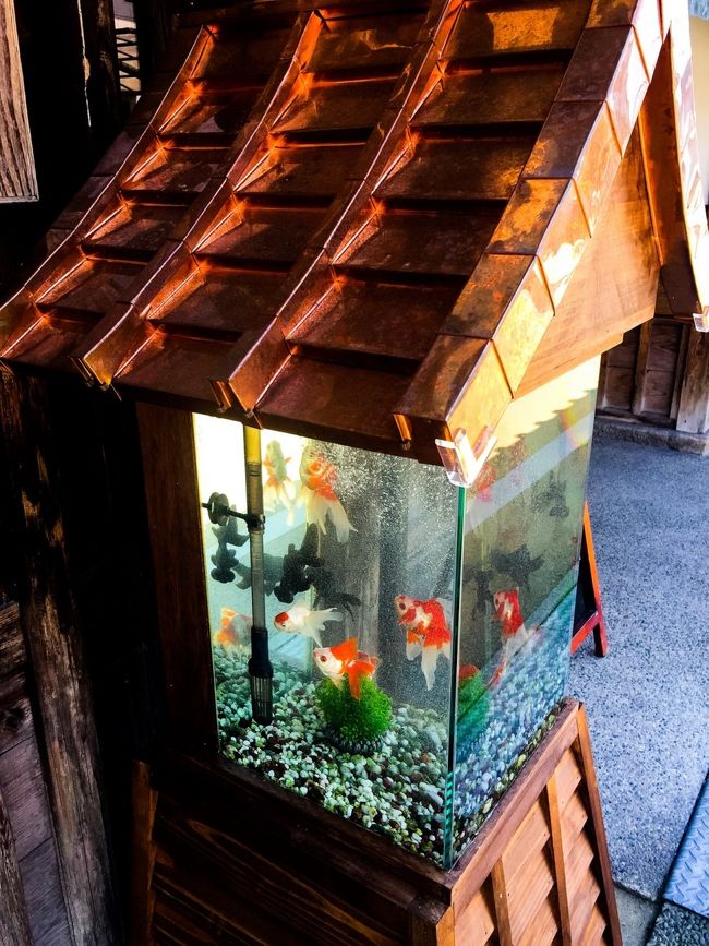 最近設置された金魚の灯篭<br /><br />夜はライトアップされてるそうです