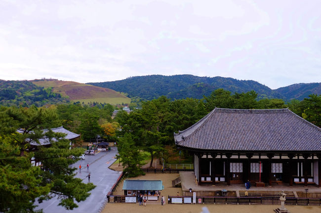 東金堂　脇には　宝物館　若草山