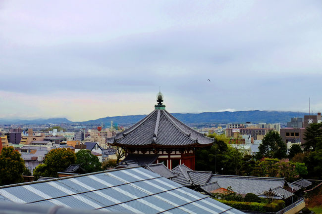 地上作業場と南円堂