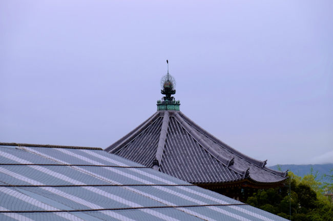 最下層へ降ります。<br /><br />　最下層は仏像も置かれる広く高い天井<br /><br />　撮影禁止、、